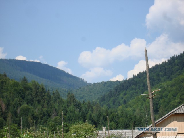 Горганы