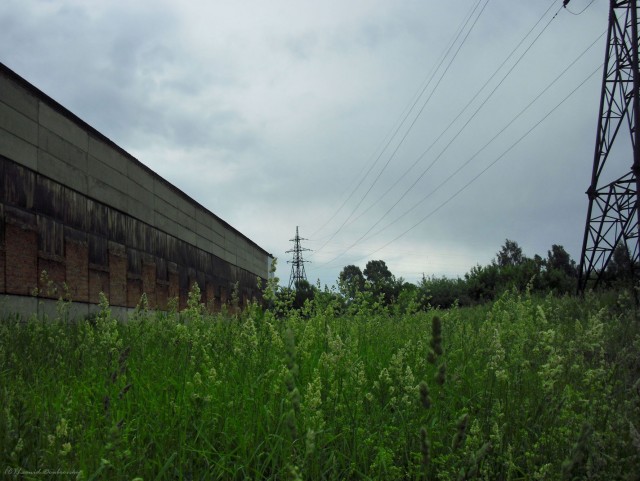 В черном городе