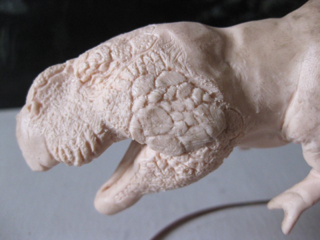 T-ReX
