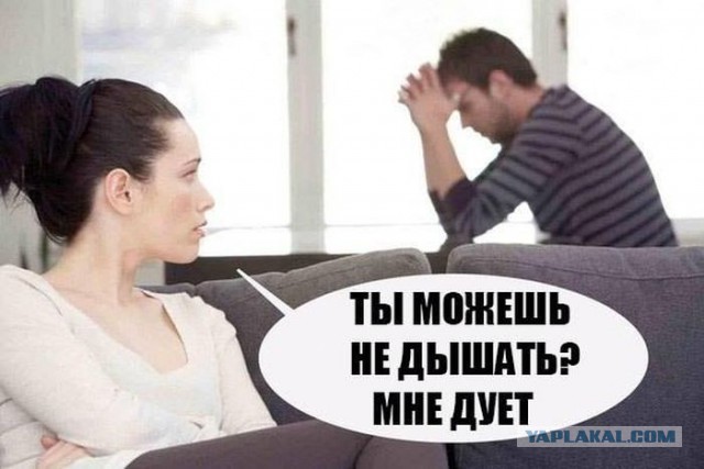 Прикольные картинки из сети