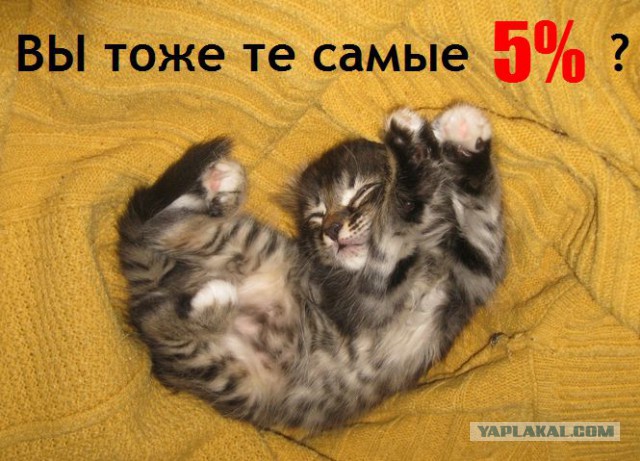 Верю-не верю: 18 правдивых фактов