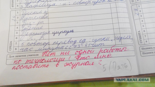 Записи в школьных дневниках
