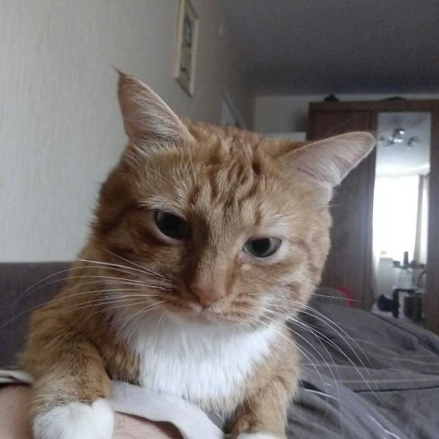 Самый неприятный и внезапный звук в процессе коитуса?
