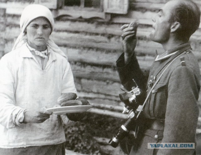 Расстрелы
