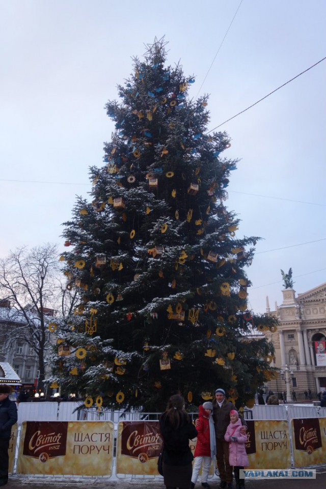 Немного фоток Львова