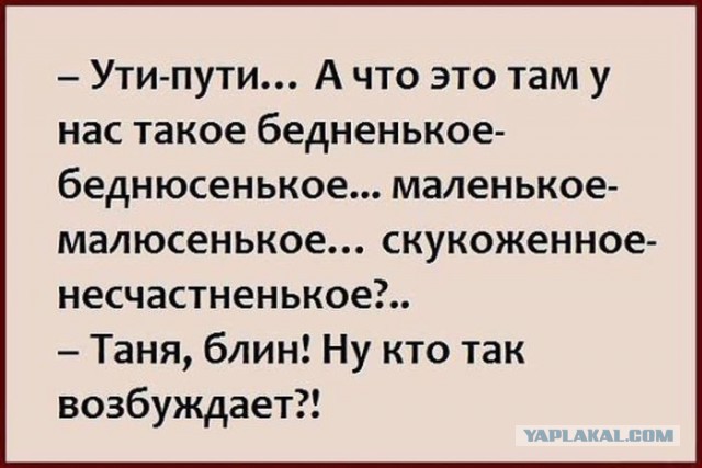 Смешные комментарии из социальных сетей 30.12.2016