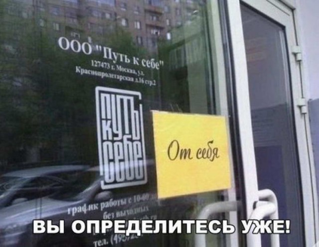 Подборка безудержного веселья