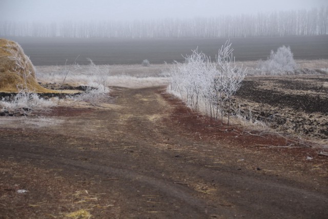 Фотографии современной России
