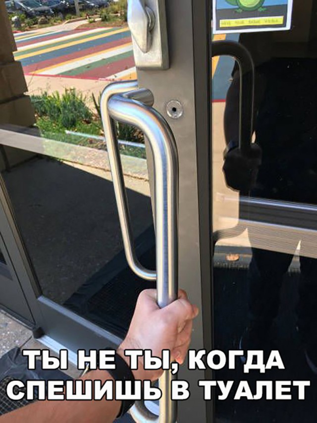 150 картинки для поднятия настроения!