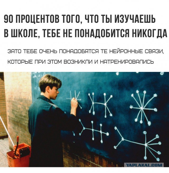 Литературные страдания. Зачем школьнику классика?
