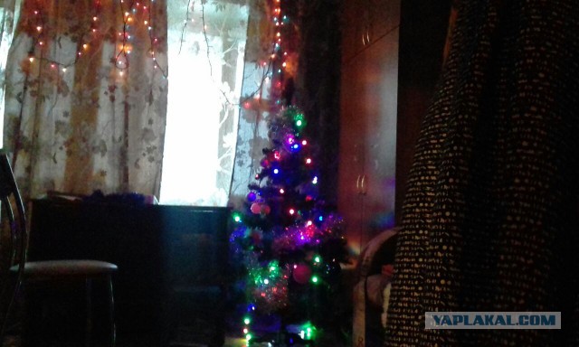 А давайте Ёлками меряться!?