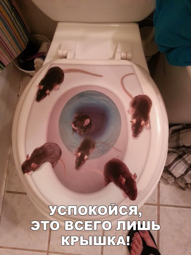 Прикольные картинки абавсём