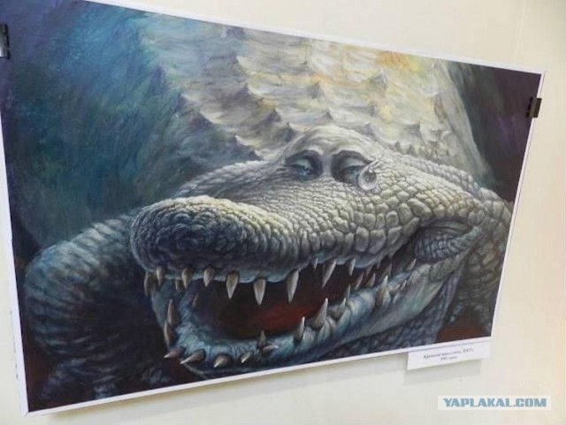 Как рождаются крокодилы