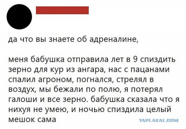Нам нечего скрывать
