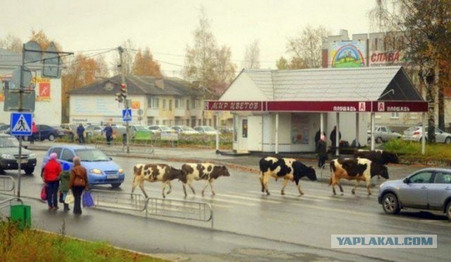 Картинки разные на сегодня