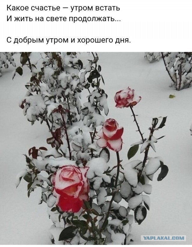 Неравная любовь. Он слишком стар для меня?