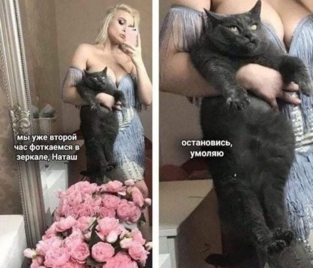 Наташа, вставай!