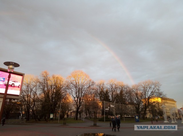 Давно не было солянки из картинок