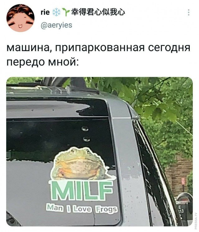 Картинки и мемы для настроения 12.05.2021