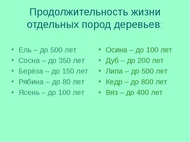 Растение из семян возрастом 30 тысяч лет