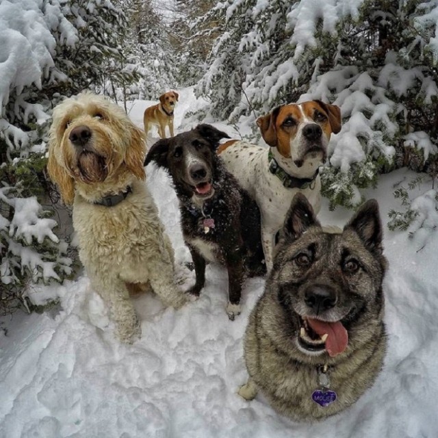 40 картинок разных 03.02.2022