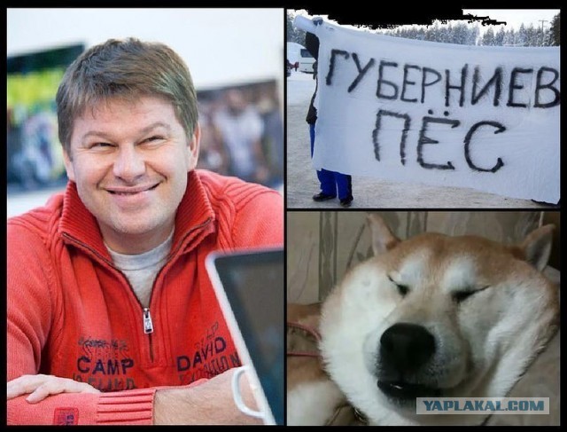 «Вы не люди, вы г*вно»: Губерниев резко высказался в отношении людей, оскорбляющих биатлониста Латыпова