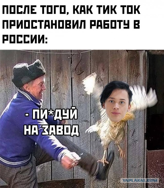Картинки аморальные и всякие разные - 25