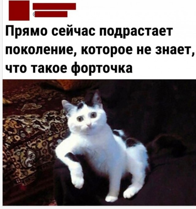 Так себе картинки 21.04.22