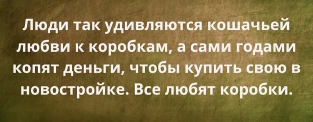 Веселые картинки!