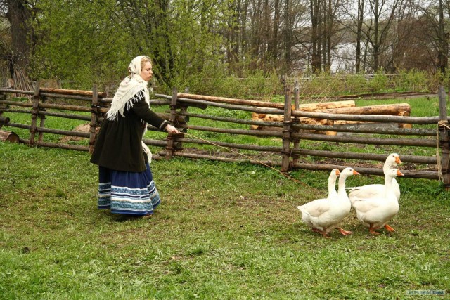 Великий Новгород