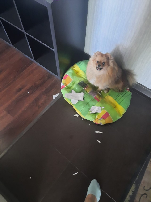 Началось