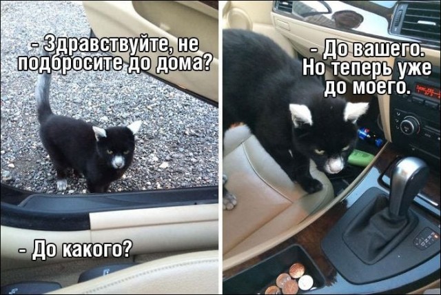 Пятница. Вечер. Картинки всякие #15
