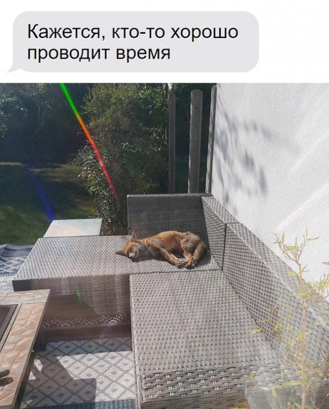 Картинки и мемы. Выходные близко...