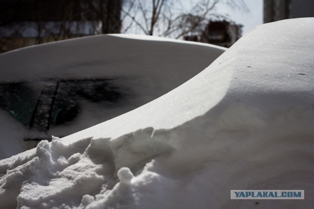 23 марта. Киев. Весна.