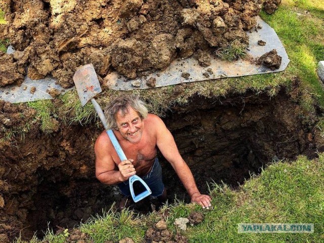 Загадка про яблоки