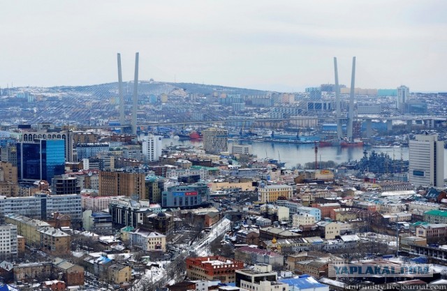 50 крупнейших городов России и США
