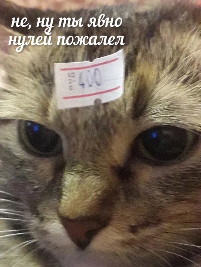 Всего понемногу. От 21.01.24