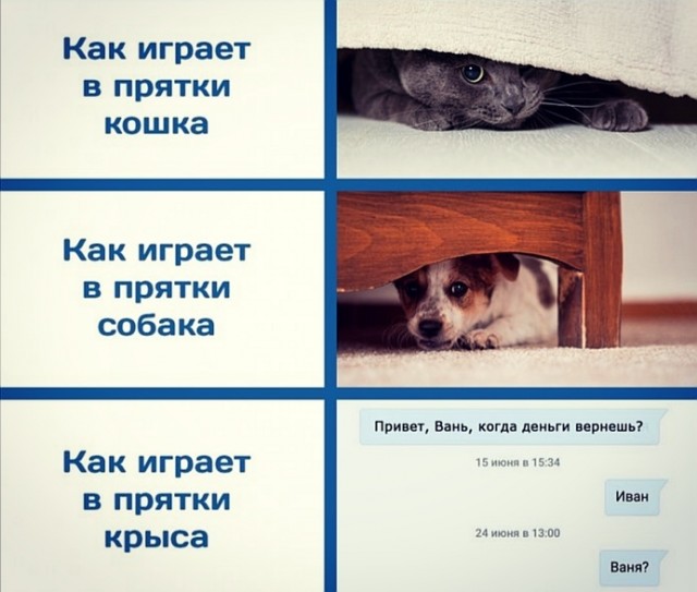Завалялось тут случайно немного забавных картинок