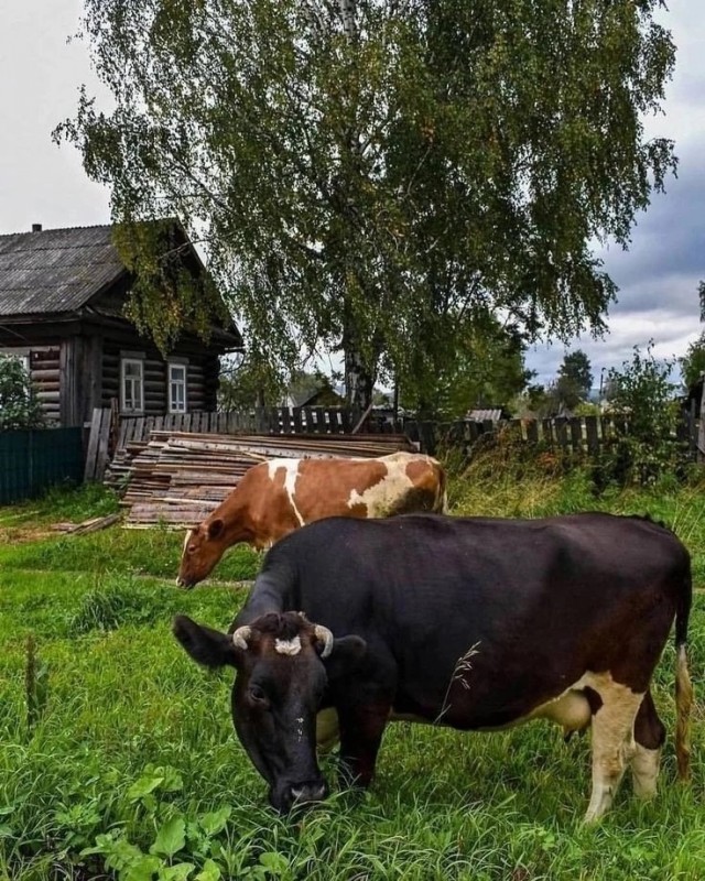 Прикольные и просто красивые картинки 13.09.2024