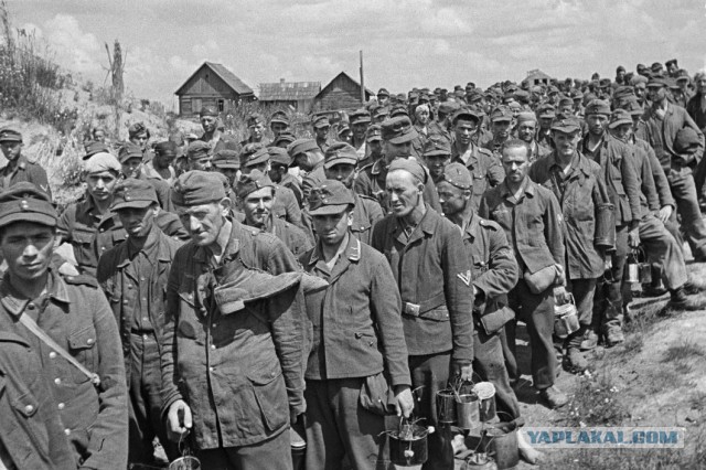 Почему солдаты вермахта закатывали рукава?