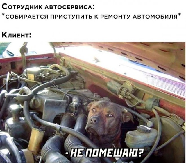 Веселые картинки в пятницу (04.07)