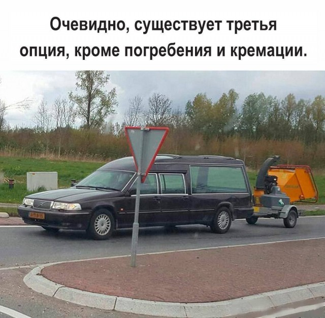 Картинки для деградации 25 (разной степени свежести)
