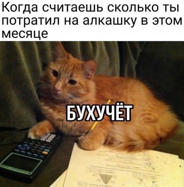 Вопрос к Яповчанам и Яповчанкам!