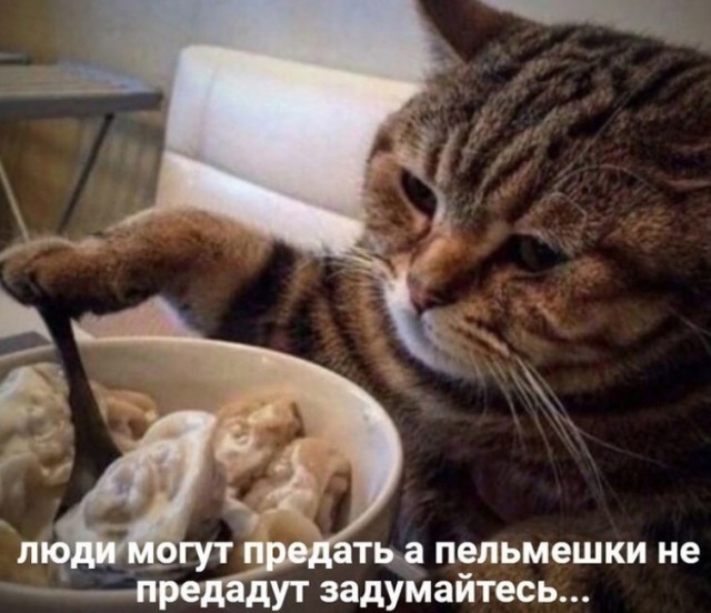 Сегодня отмечается день пельменей