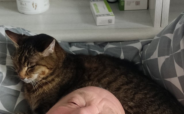 Сколько активностей в ленте