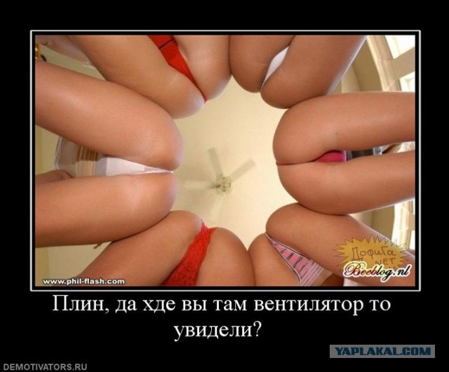 Рассказ сержанта полиции