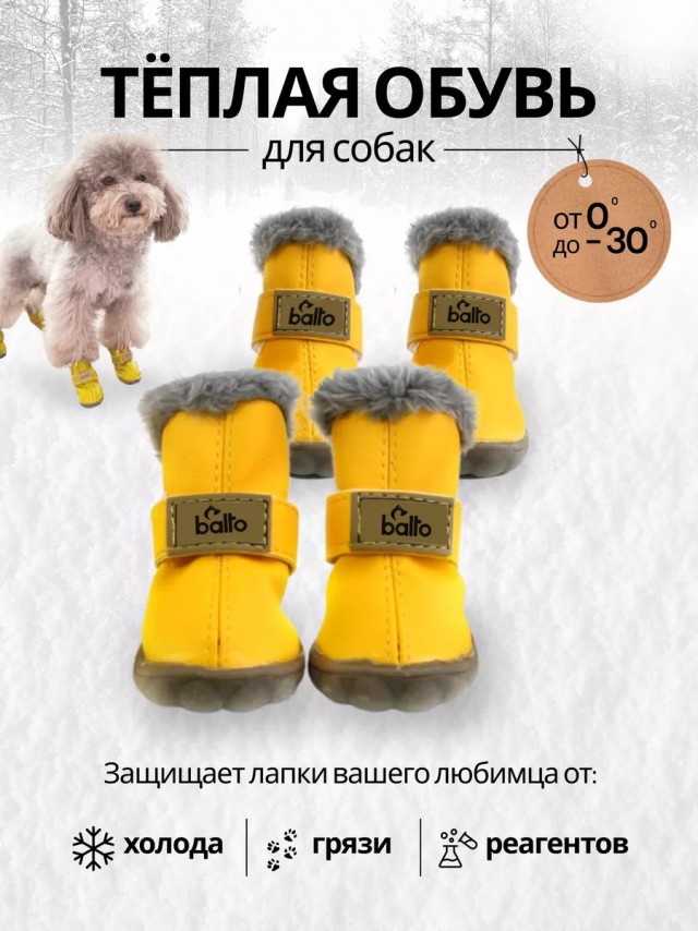 Собакочетверг 22.01.2026