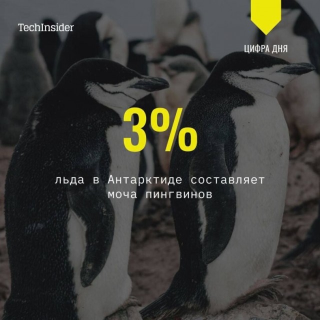 Факты