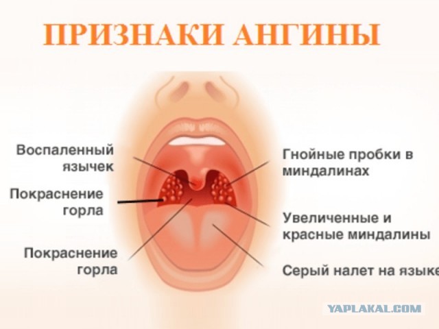 Забытые звёзды нулевых годов