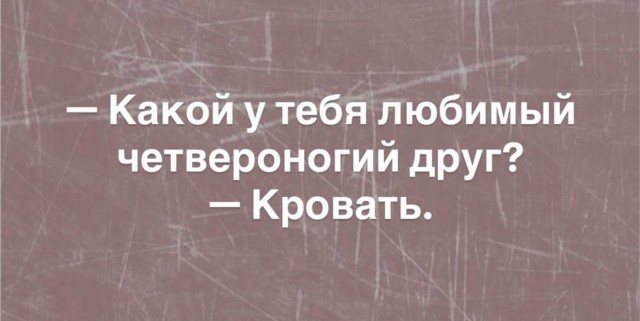 Веселое настроение в картинках 13.08.26